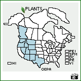 Distribution of Oenothera pallida Lindl.. . Image Available. 