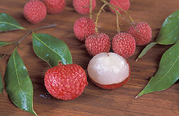 Peeled and unpeeled lychee fruit: Click here for full photo caption.