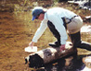 Photo showing Don Campbell collecting a water sample from a pond in Rocky Mountain National Park, Colorado