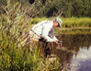 Photo showing Don Campbell making a dissolved oxygen measurement in a pond in Rocky Mountain National Park, Colorado
