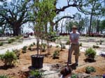 Pass Christian, MS - An AmeriCorps member helps to landscape War Memorial Park in Pass Christian, Miss., as part of a playground build sponsored by the nonprofit group KaBoom!