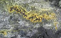 Sulfur crystals above lava tube downslope from Pu`u `O`o, Kilauea volcano, Hawai`i