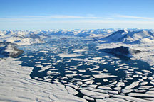 Rapid Retreat: Ice Shelf Loss along Canada's Ellesmere Coast teaser image