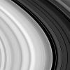 Outer B Ring Edge