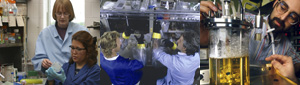 Fermentation Biotechnology Research Site Logo