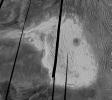 Venus - Maxwell Montes and Cleopatra Crater