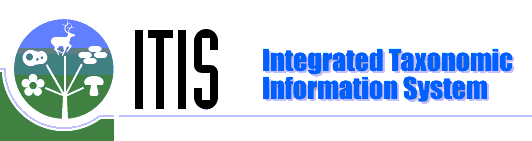 Link to ITIS Taxonomic Names Database