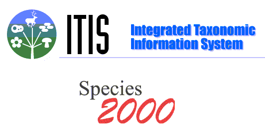 Link to Species 2000 website