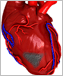 an illustration of a heart with a grey damaged area.