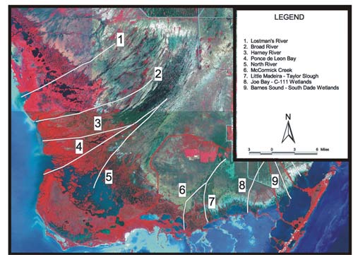 map showing location of the nine generalized coastal transects involved in the study