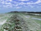 San Andreas Fault in the Carrizo Plain