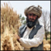 Abdul Khaliq, a farmer from Mahool Baloch village in Loralai district, Balochistan province