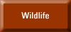 button with link to wildlife page