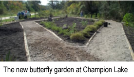 new butterfly garden
