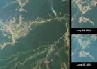 Deforestation near Rio Branco, Brazil