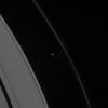 The oblong form of Prometheus glides by, trailing behind it wiggles in Saturn's ribbon-like F ring