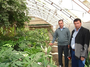 With USAID support, Turkmen greenhouse farmers learn from their Uzbek colleagues