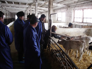 Assistance increased farm incomes and showed how veterinary services can improve farm productivity