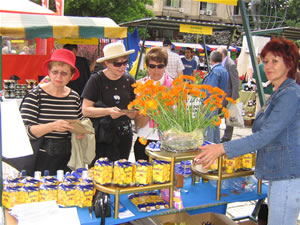 Customers look over the products at Fourth Annual International Festival of Tea and Medicinal Herbs held in Sarajevo