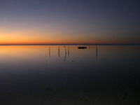 Submarine-ground-water-discharge site