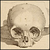 Ontleding des menschelyken lichaams by Govard Bidloo and Gerard de Lairesse