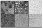 Mars Polar Lander Site Compared With Washington, D.C.