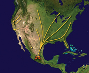 A map that shows the monarch butterfly migration path from the United States down to a single point in southern Mexico