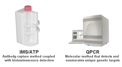 Rapid Detection Method Navigation