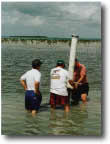 photo of scientists piston coring in seagrass beds