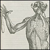 De Humani Corporis Fabrica by Andreas Vesalius
