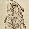 Tabulae Anatomicae by Giulio Casserio and Odoardo Fialetti