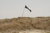 A black flag waves above the site where a mass grave is located southeast of Basra.  In the foreground is a human bone fragment that appears to be a hip bone.   The gravesite, measuring about 400 meters square, is made up of 50 horseshoe-shaped mounds of earth, which contain tattered pieces of clothing and shoes.  At least one of the horseshoe mounds contained an array of old, apparently abandoned Iraqi unexploded ordnance.  Despite the dangers, Iraqis have begun to dig at the site to try to locate the remains of missing relatives