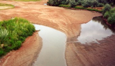 Picture of drought conditions at the Rio Grande at Bernardo, New Mexico.