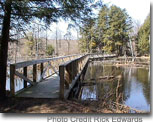 Photo of a boardwalk / Photo credit: Richard J. Edwards