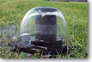 An artesian (flowing) well in New Mexico.