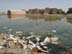 An extremely high water table, the lack of any drainage systems and the open-air sewage canals create stagnant pools near a residential area of Nasiriyah in southern Iraq. USAID partner RTI is finding solutions for the aging, poorly maintained water and wastewater infrastructures.