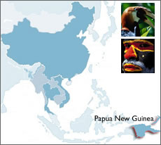 Map of Asia that highlights Papua New Guinea's location.