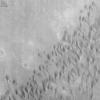 Windblown Dunes on the Floor of Herschel Impact Basin