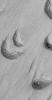This MOC image shows crescent-shaped, scooped-out hollows where wind has eroded the local bedrock in the Apollinaris Sulci region