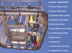 Bottom view of SeaBOSS (Sea Bottom Observation and Sampling System) components: A. forward video camera; B. forward video lights; C. downward video camera; D. downward video lights; E. 35 millimeter still camera; F. strobe light for still camera; G. van Veen grab sampler; H. depth sensor; I. junction box; J. parallel lasers for scale; K. angled laser for range