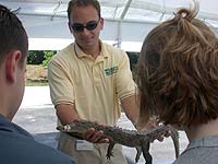 Jon Wiebe shows visitors an American crocodile