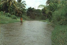 Photo - Sampling the transport of bedload sediment, 1997, Cayaguás river, near San Lorenzo, Puerto Rico. Click for larger photo