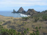 thumbnail image of Pagan beach with volcanic flows and palm trees