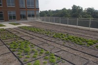 Green Roof at EPA, Arlington, VA