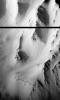 Western Tithonium Chasma/Ius Chasma, Valles Marineris - High Resolution Image