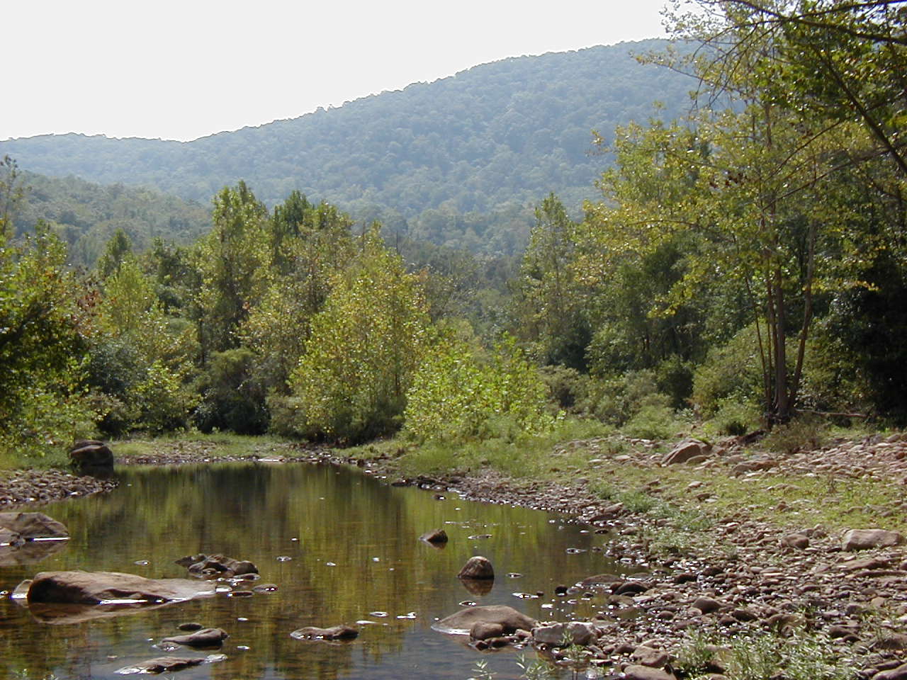 Picture of Arkansas Scenery