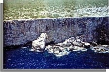 Photo - View of cliff face in Isla de Mona, Puerto Rico.  These cliffs can reach hights of 80 meters.