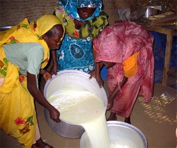 Photo: IDP women in Kas, South Darfur, learn to make cheese during a three-month income generation course.