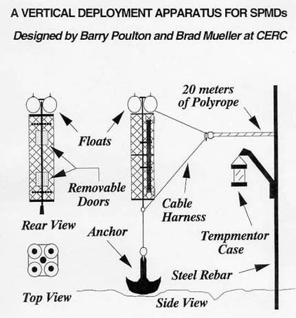 slide25.jpg (37038 bytes)