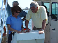 individuals on a boat observing sea life